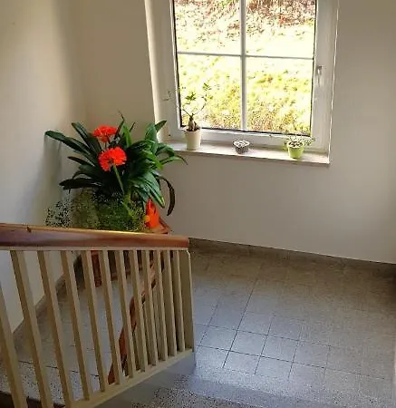 Goldbrunnen Апартаменты Бад-Эльстер