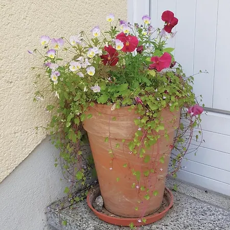 Апартаменты Goldbrunnen