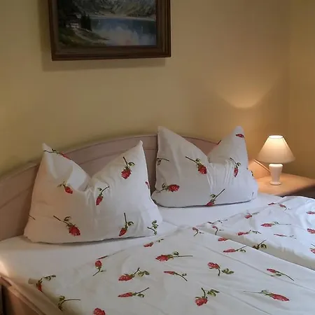 Goldbrunnen Апартаменты Бад-Эльстер