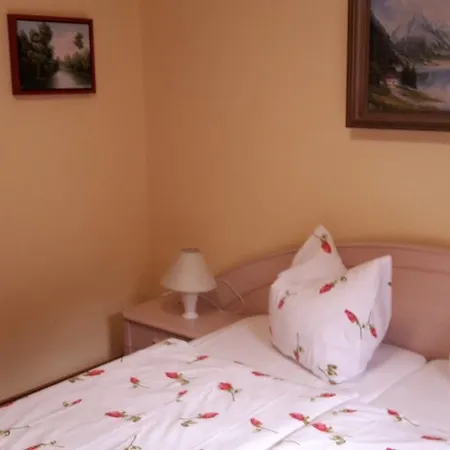 Goldbrunnen Апартаменты Бад-Эльстер