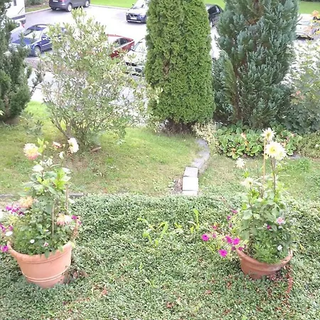 Goldbrunnen Бад-Эльстер