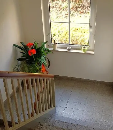 Goldbrunnen Apartamento Bad Elster