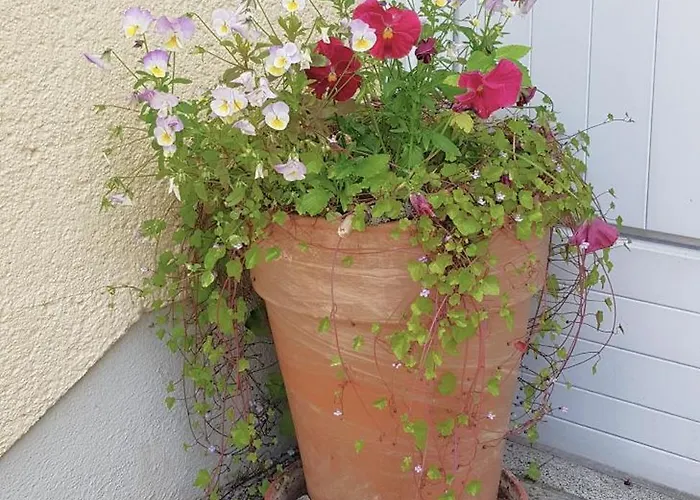 Apartamento Goldbrunnen