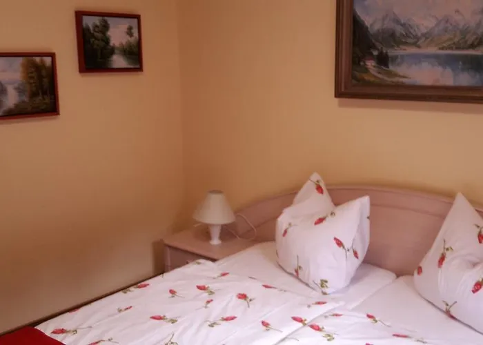 Goldbrunnen Apartamento Bad Elster